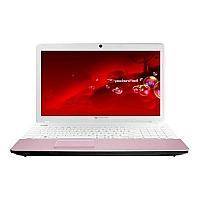 Ремонт Packard Bell easynote ts45 amd у Львові
