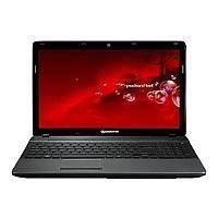 Ремонт Packard Bell easynote ts11 amd у Львові