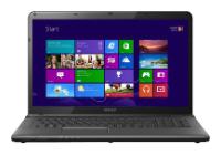 Ремонт Sony VAIO SVE1713X9R у Львові