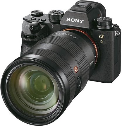 Ремонт Sony A9 body у Львові